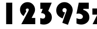 12395zi bags